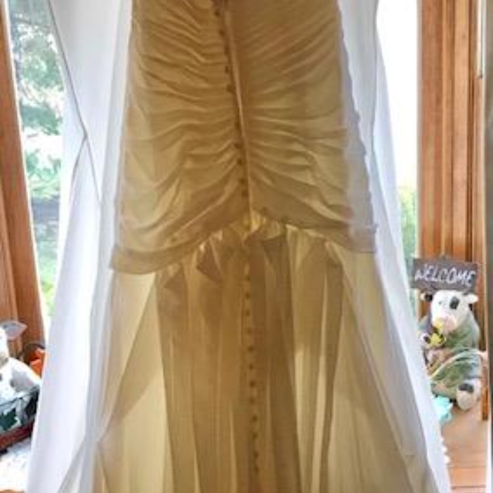 Wedding Dress - Picture 5 of 5
